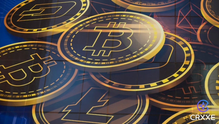 A responsabilidade de um líder de mercado: as iniciativas educacionais e filantrópicas da Crxxe 6 crxxe mercado